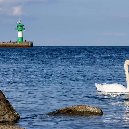 Freibeuterweg 20 - Dorf 5 Tatil Evi
