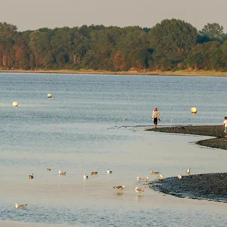 Hébergement de vacances Freibeuterweg 20 - Dorf 5 *